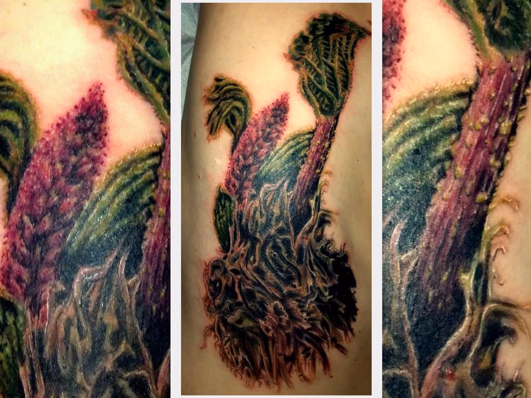 Rhubarb tattoo on ribs