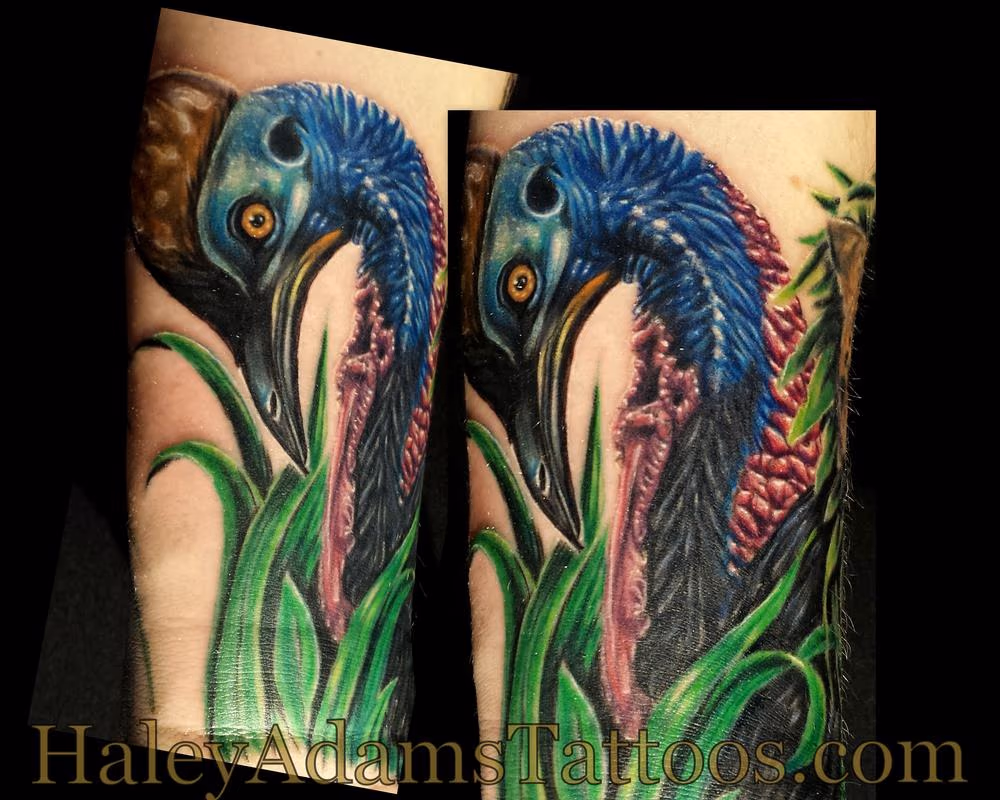 Rainforest bird tattoo, southern cassowary