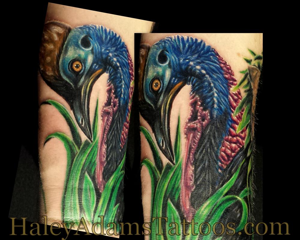 Rainforest bird tattoo, southern cassowary