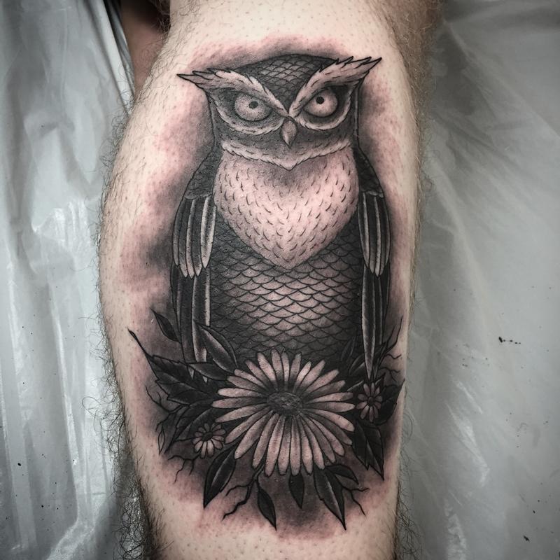 Owl