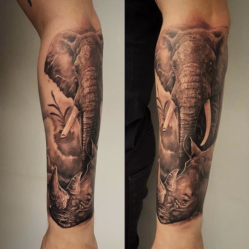 Safari animals