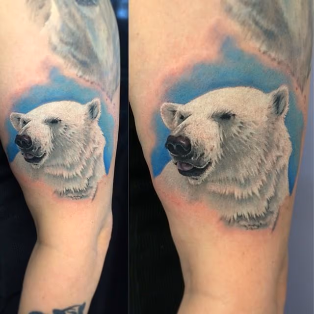 Polar bear