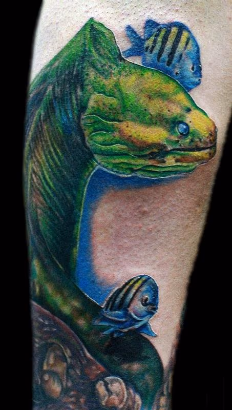 Eel