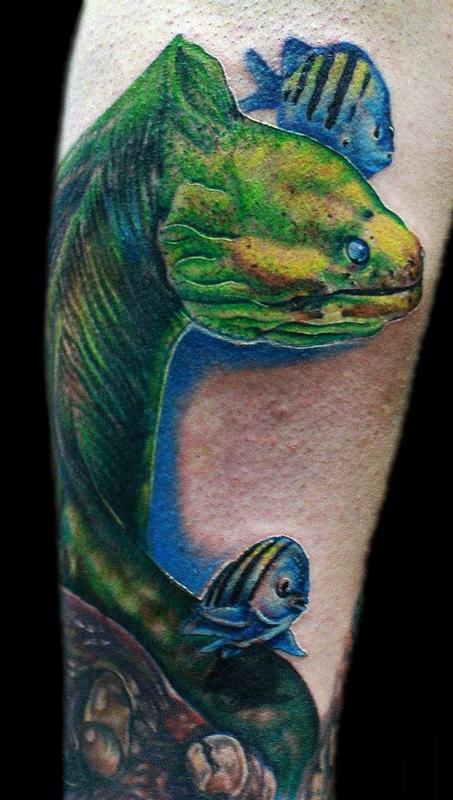 Eel