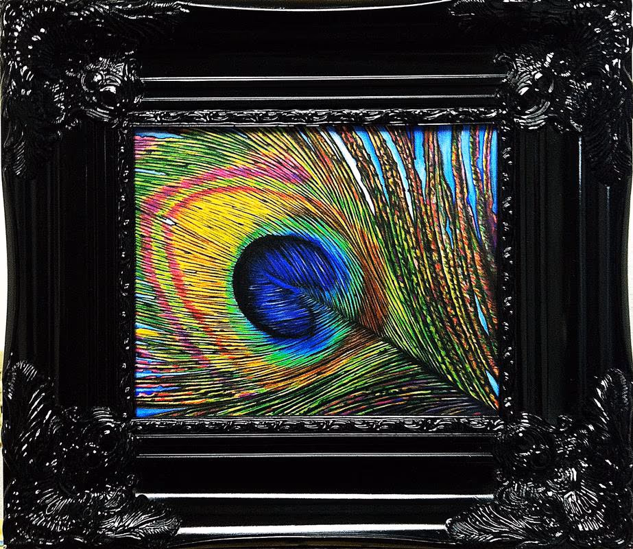 Peacock Feather