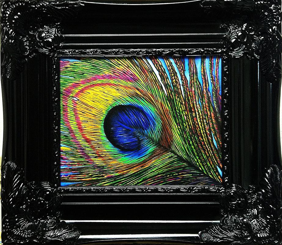 Peacock Feather