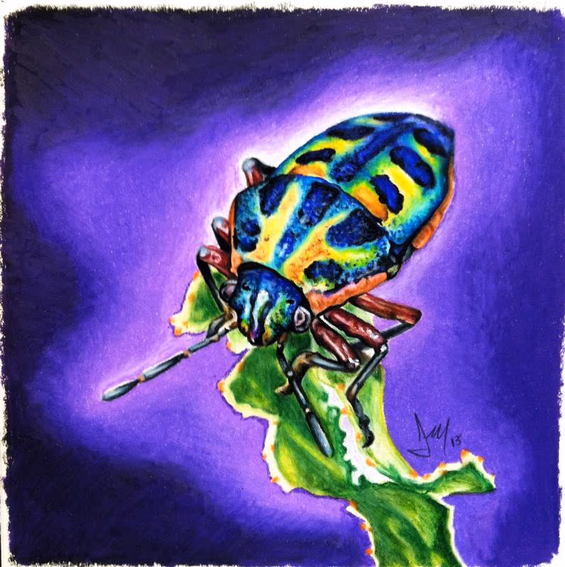 Beetle