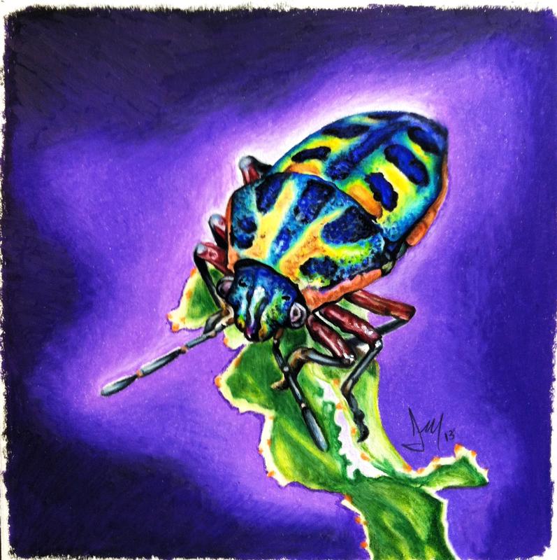 Beetle