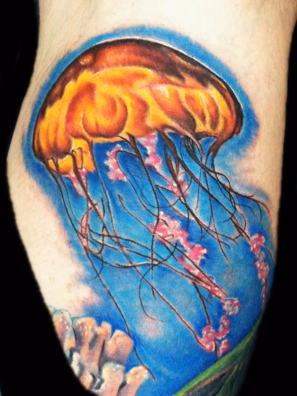 Jelly Fish