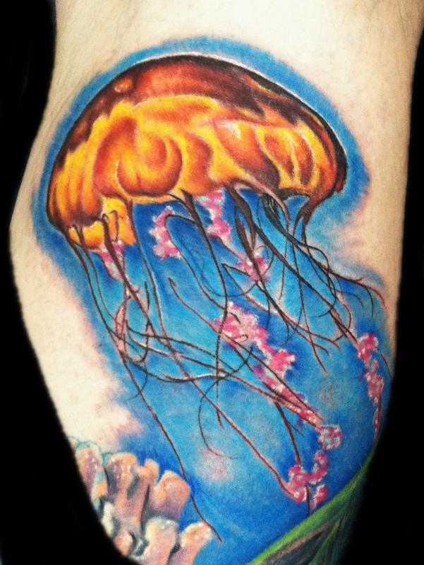 Jelly Fish