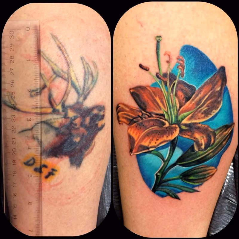 Cover-up