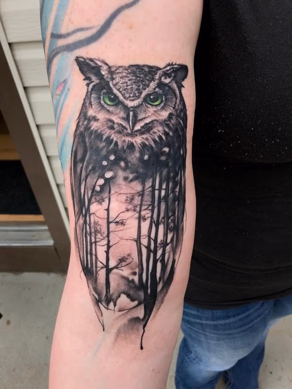 Owl, Forrest
