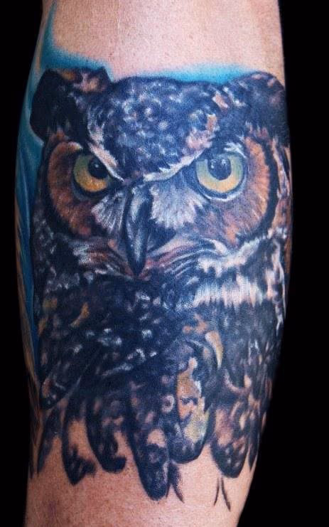 Great Horned Owl
