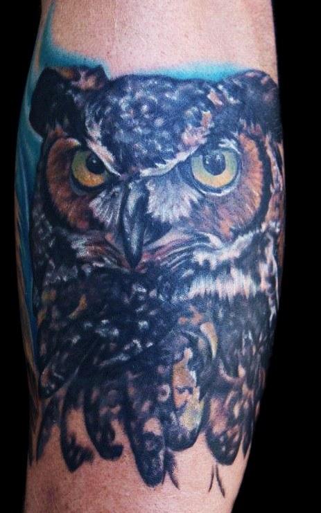 Great Horned Owl
