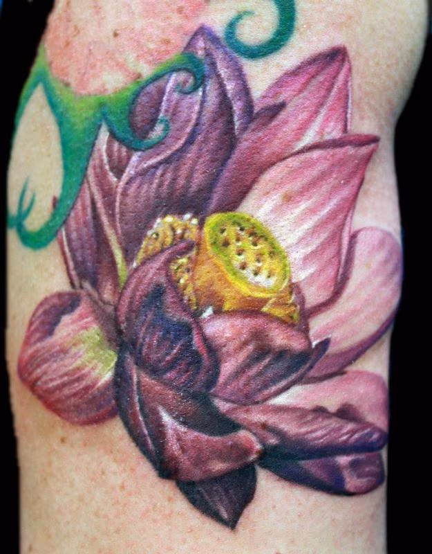 Lotus Flower