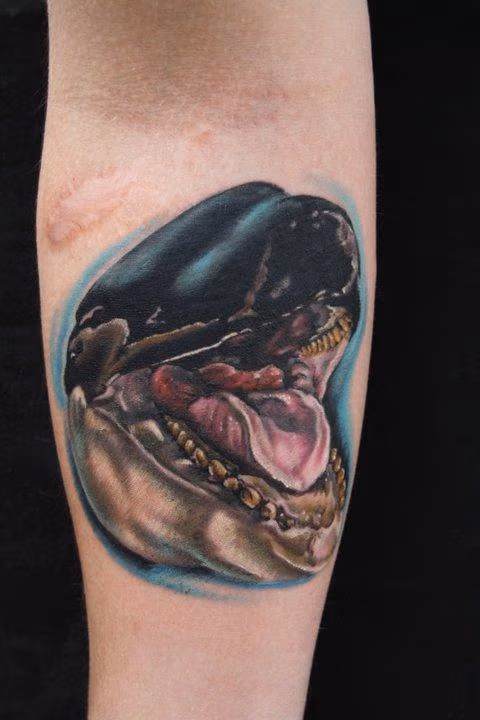 Killer whale