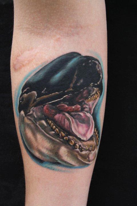 Killer whale