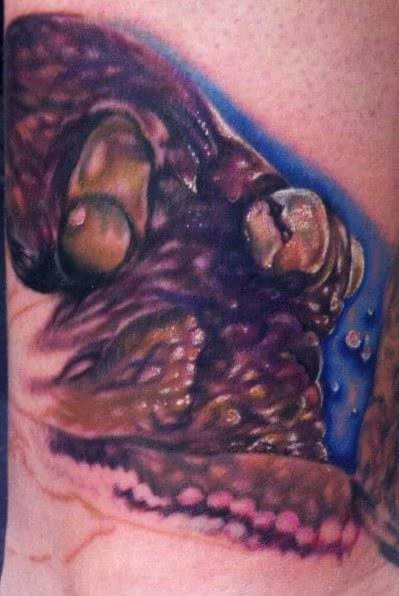 Octopus