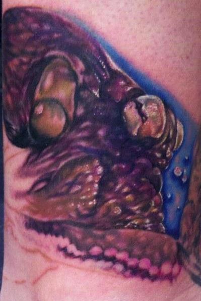 Octopus