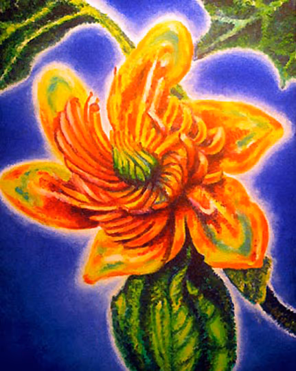 Liliy