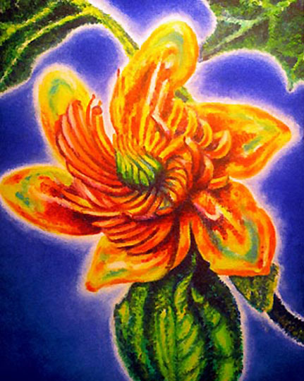 Liliy