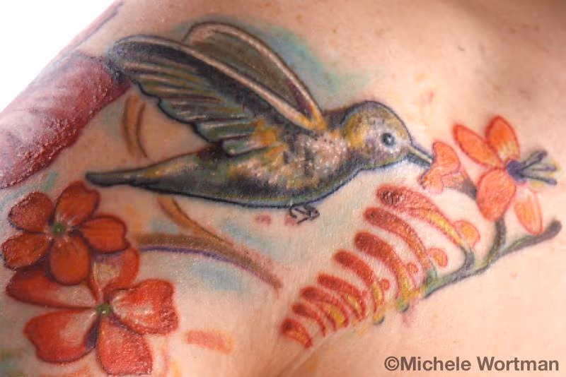 amy hummingbird sleeve detail