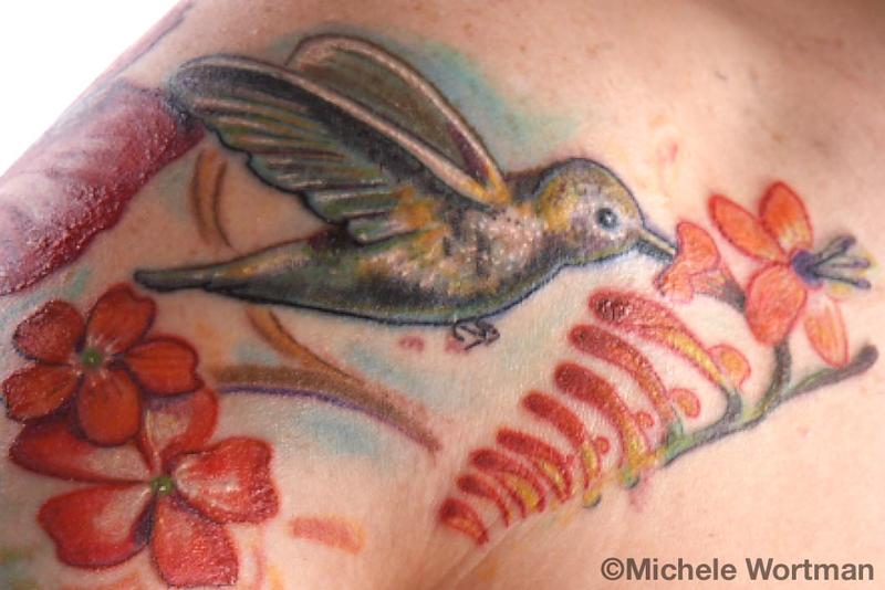 amy hummingbird sleeve detail