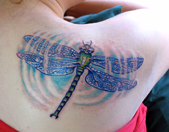 Dragonfly Ripple