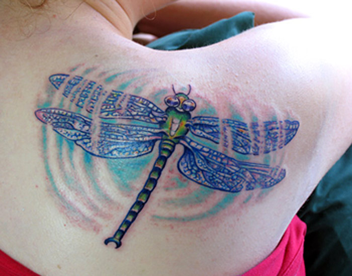 Dragonfly Ripple