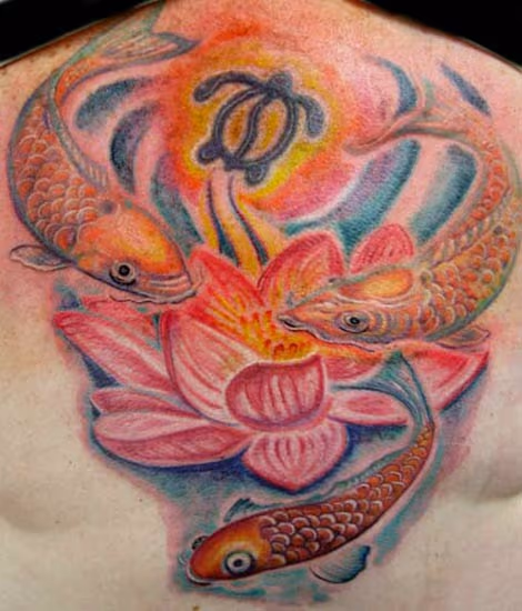 Kio Fish around Lotus