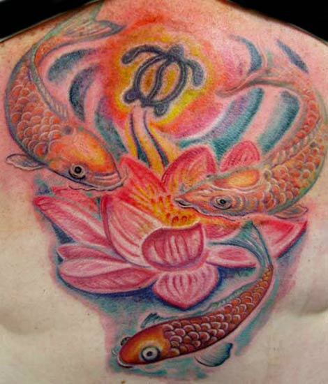 Kio Fish around Lotus