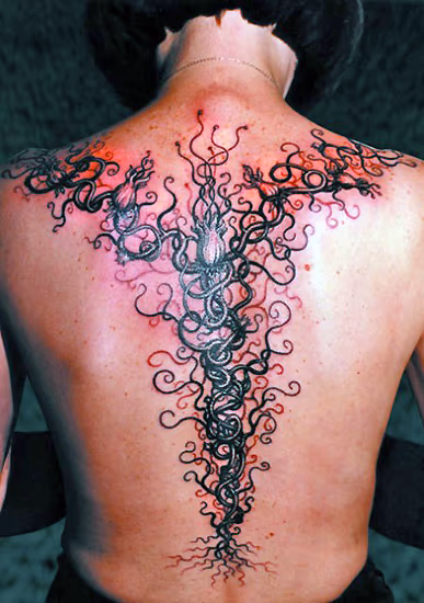 Vine on Spine
