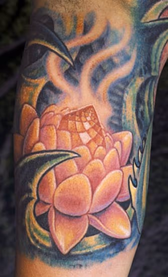Lotus in Biomech