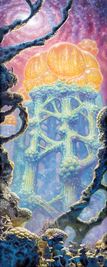 Outer Space Landscape