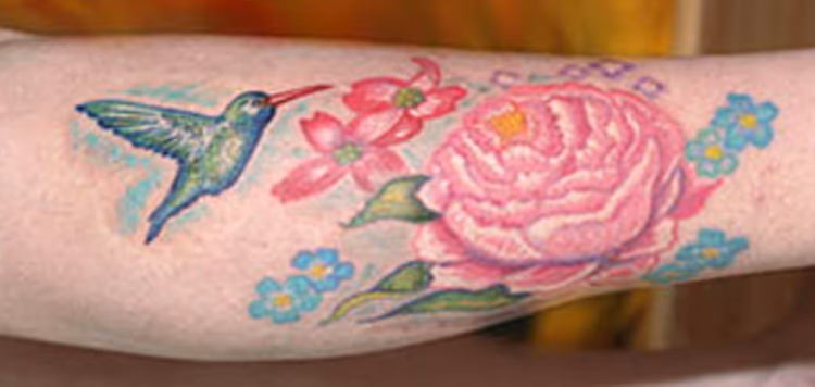 Humming Bird on Leg
