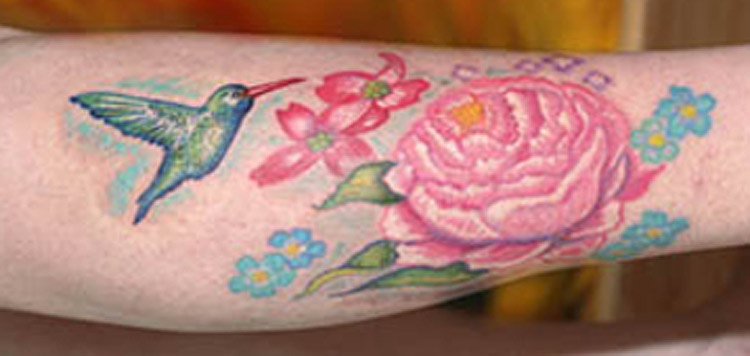 Humming Bird on Leg
