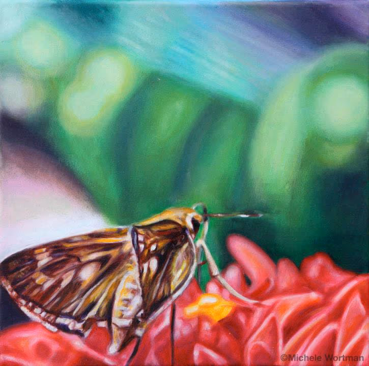 Butterfly3 '10