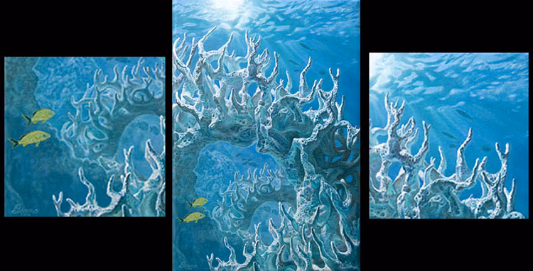 Seascape Collaboration