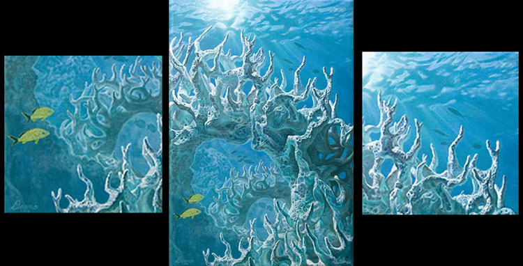 Seascape Collaboration