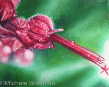 Geranium 05
