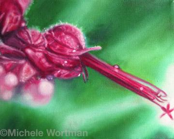 Geranium 05