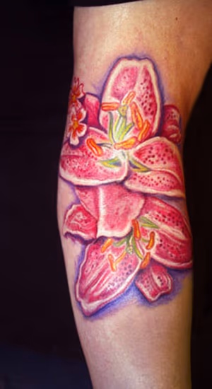 Flowers,  Lilly & Cherry Blossom