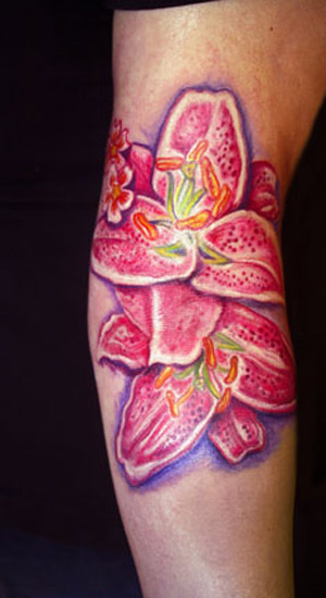 Flowers,  Lilly & Cherry Blossom