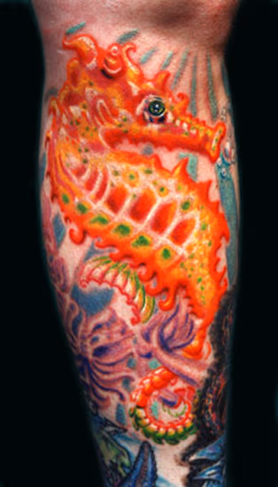 Sea Horse