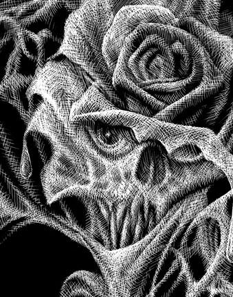 Bret Zarro: Cobweb Rose (detail)