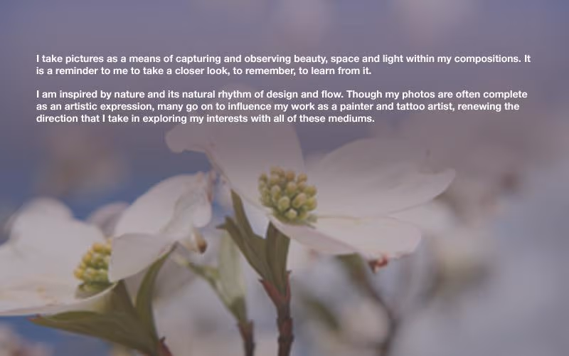 Photography statement