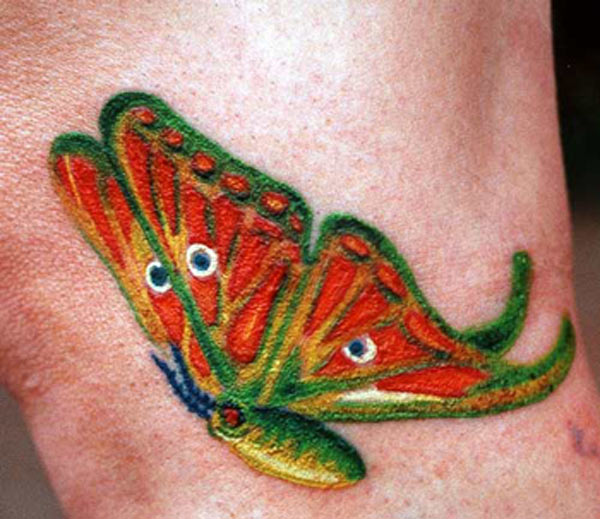 Moth