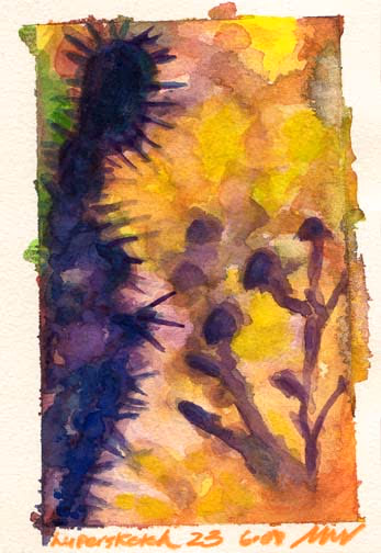 Hypersketch #23