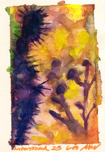 Hypersketch #23