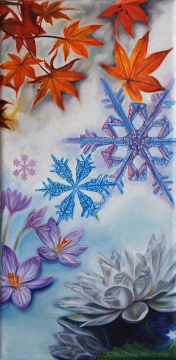 Seasons '11
